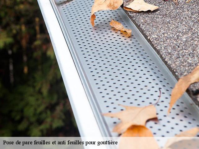 Pose de pare feuilles et anti feuilles pour gouttière  91590